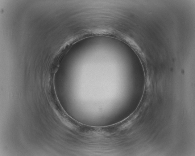 X0000084040201200703022157