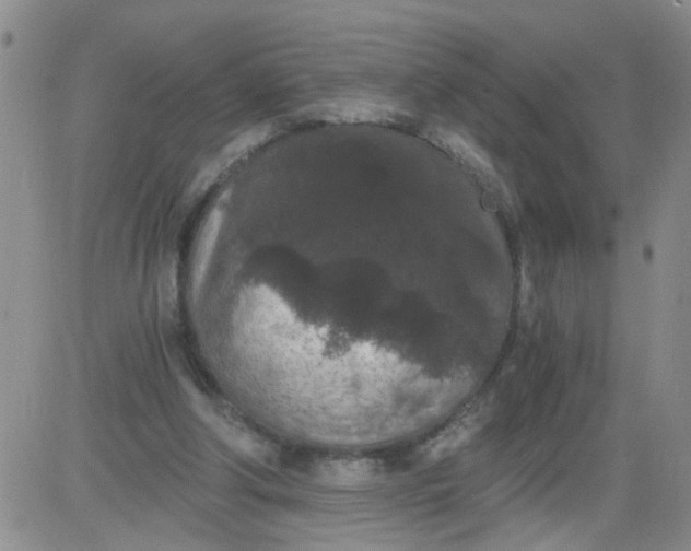 X0000084040202200703022157