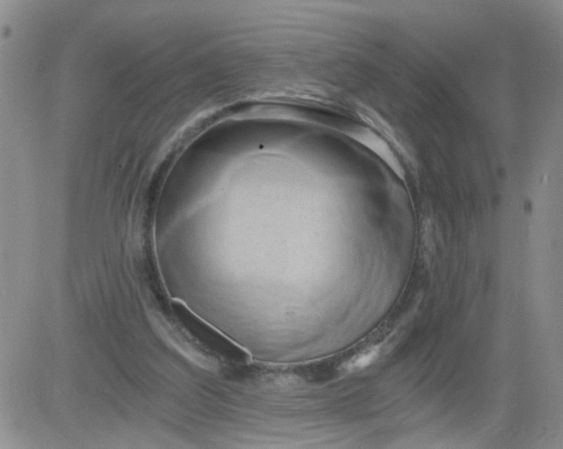 X0000084040203200703022157