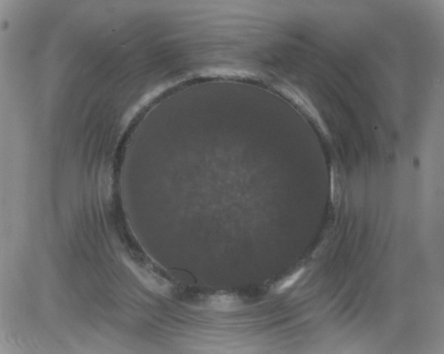 X0000084040204200703022157