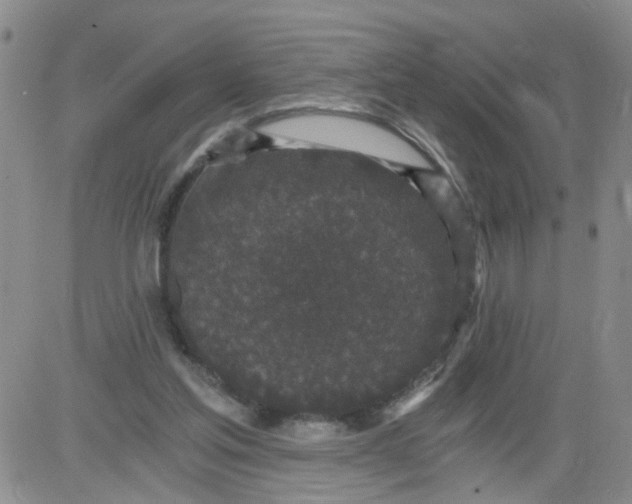 X0000084040205200703022157