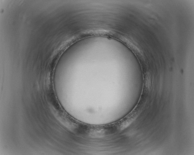 X0000084040206200703022157