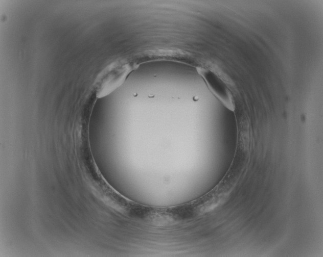 X0000084040207200703022157