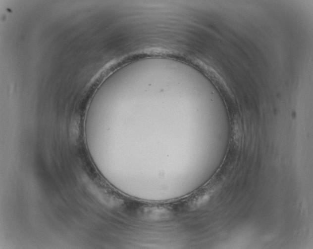 X0000084040208200703022157