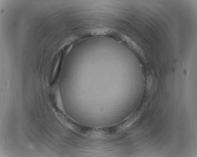 X0000084040209200703022157