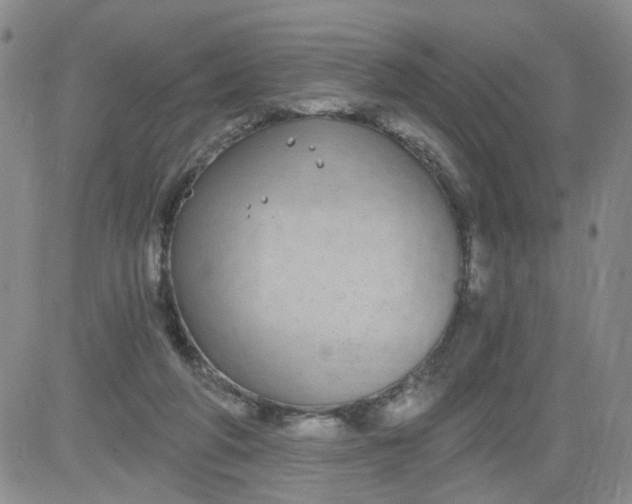 X0000084040210200703022157