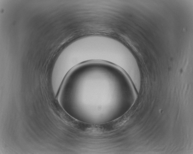 X0000084040211200703022157