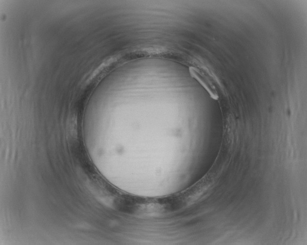 X0000084040212200703022157