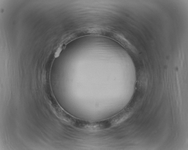 X0000084040213200703022157