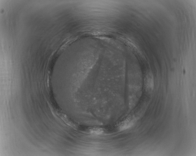 X0000084040214200703022157