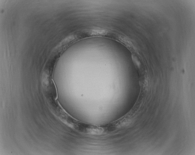 X0000084040215200703022157