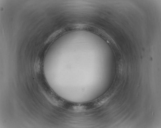 X0000084040216200703022157