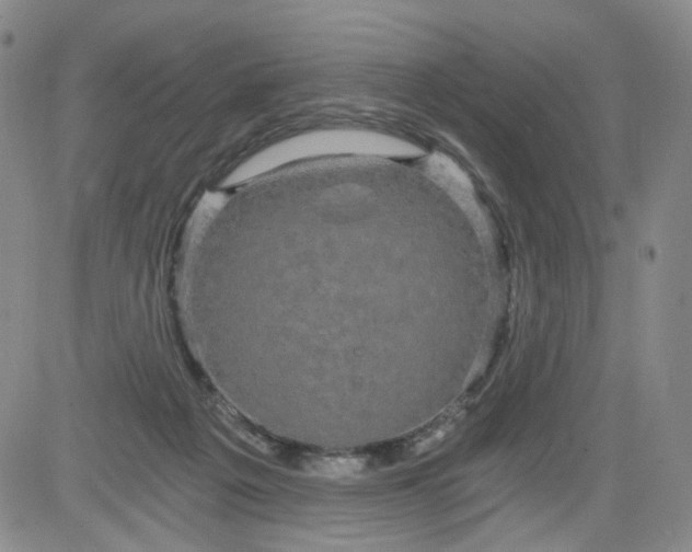 X0000084040217200703022157