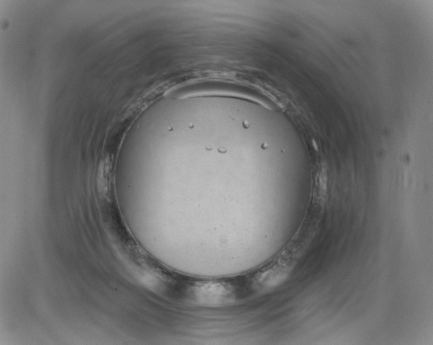 X0000084040218200703022157