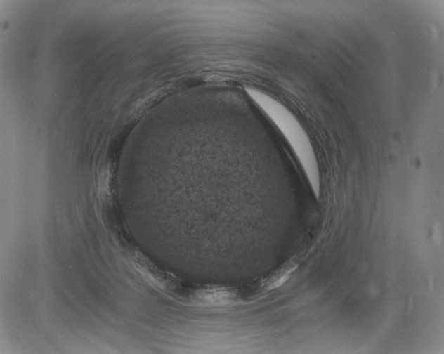 X0000084040219200703022157