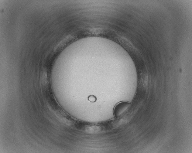 X0000084040220200703022157