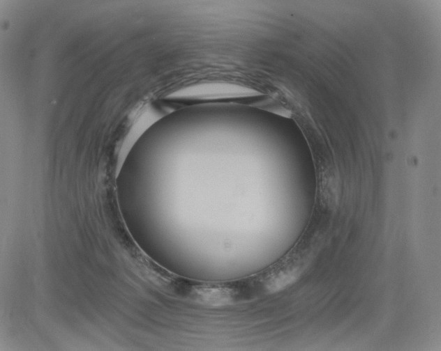 X0000084040221200703022157