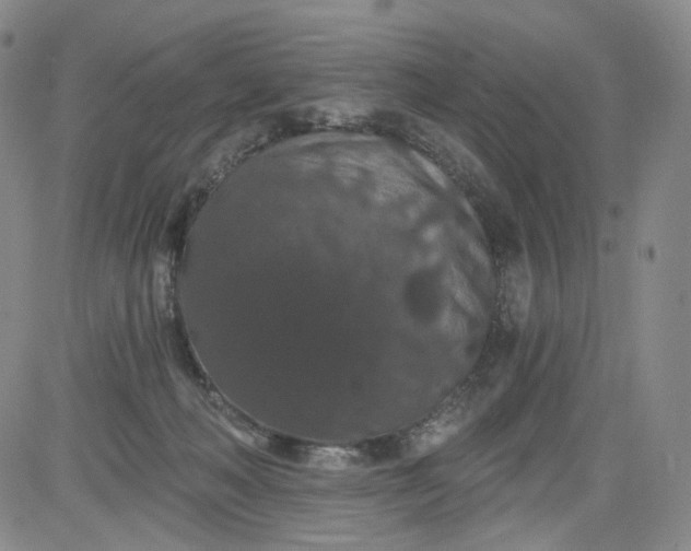 X0000084040222200703022157