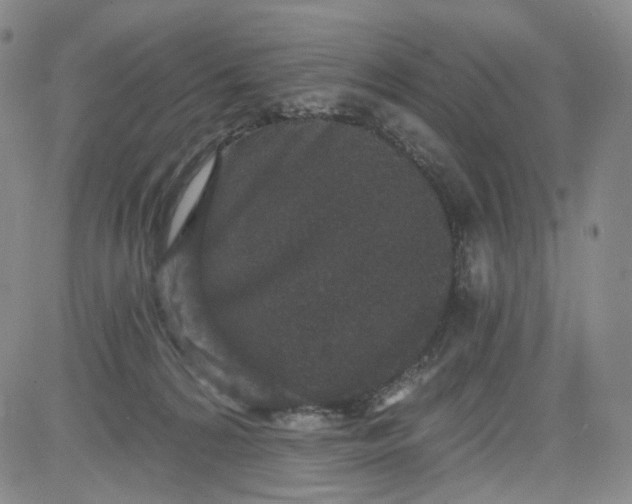 X0000084040224200703022157