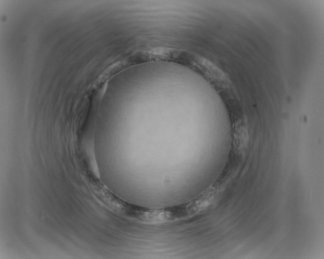 X0000084040225200703022157