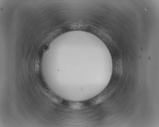 X0000084040226200703022157