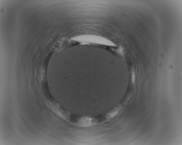 X0000084040227200703022157