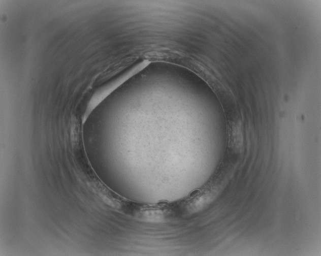 X0000084040228200703022157