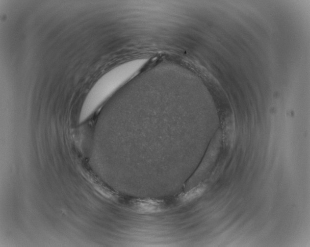 X0000084040229200703022157