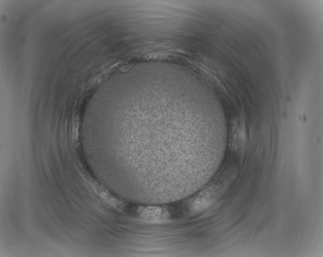 X0000084040230200703022157