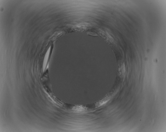 X0000084040231200703022157