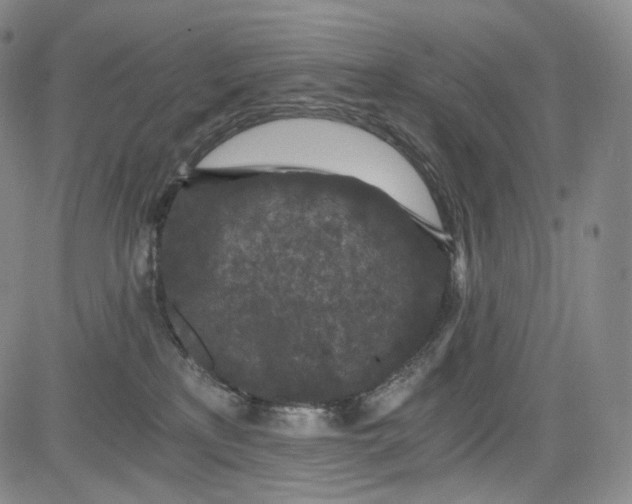 X0000084040233200703022157