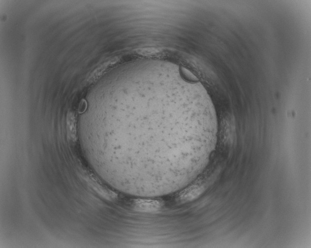 X0000084040234200703022157