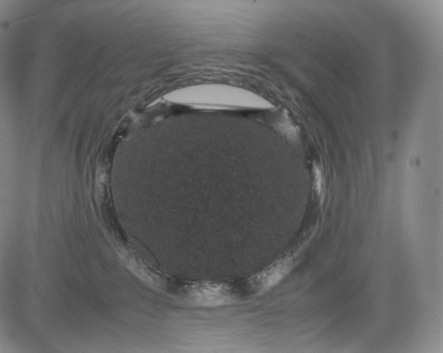 X0000084040235200703022157