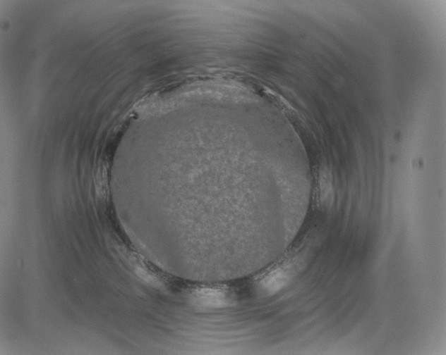 X0000084040236200703022157