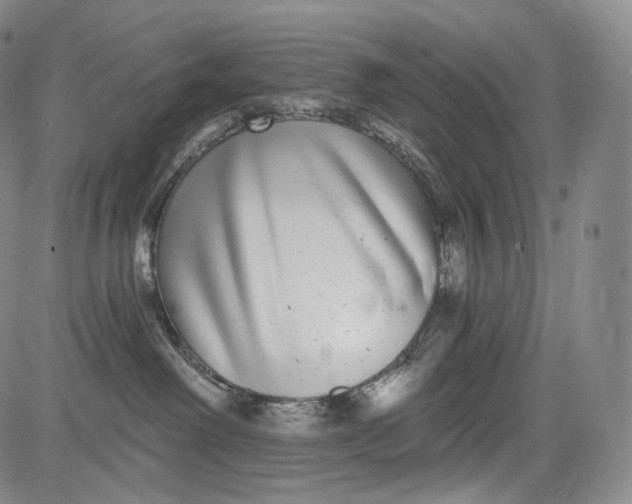 X0000084040238200703022157