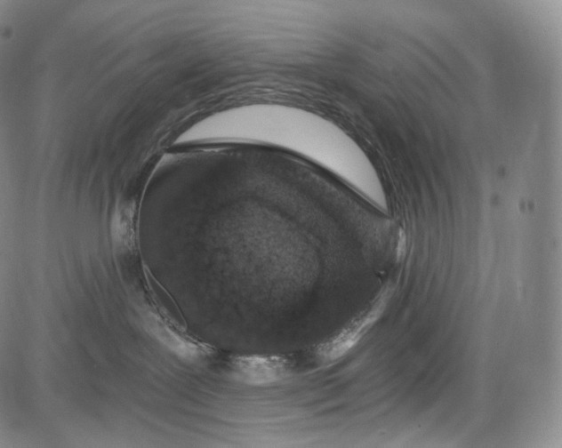 X0000084040239200703022157