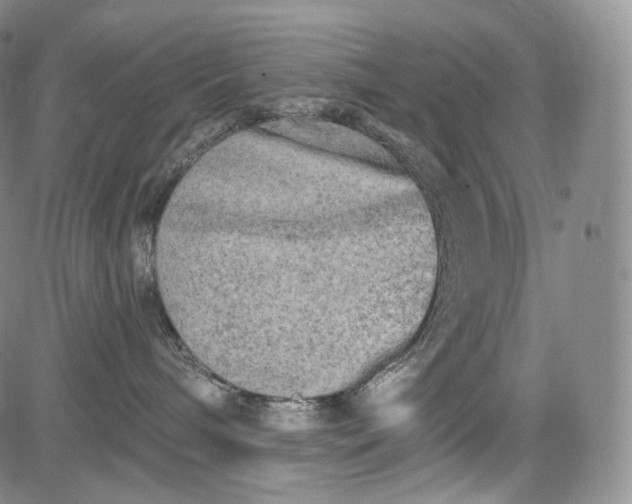 X0000084040240200703022157