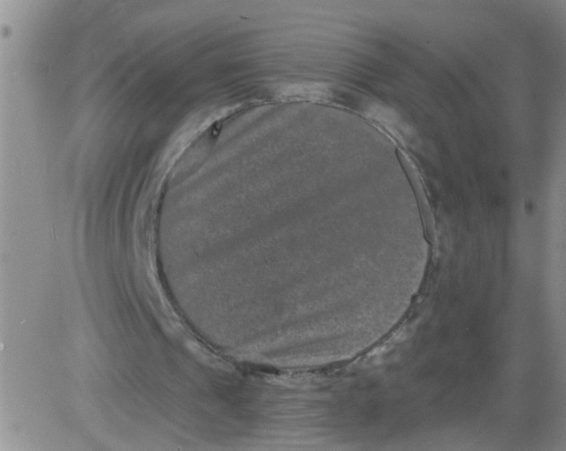 X0000084040241200703022156