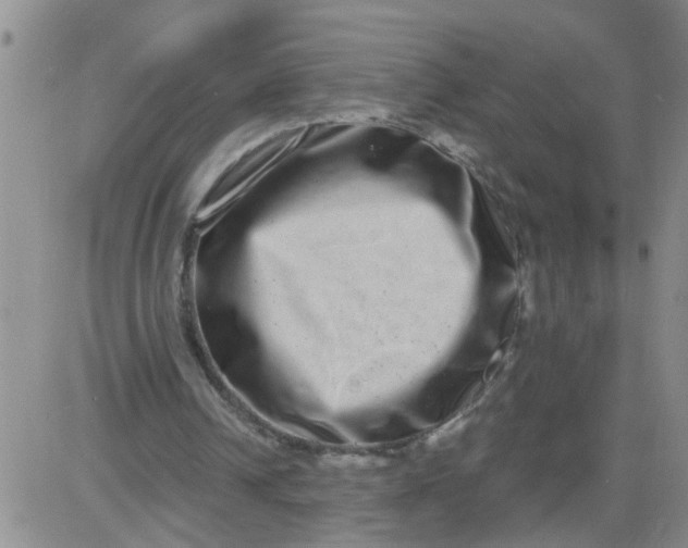 X0000084040242200703022156