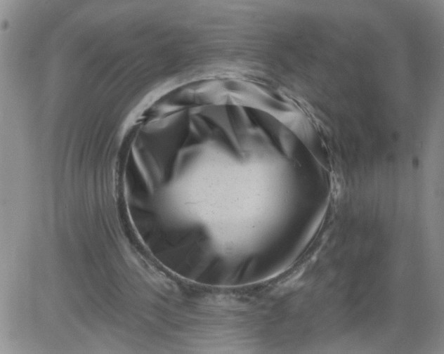 X0000084040244200703022156