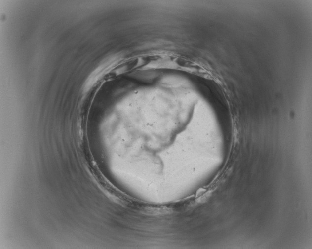 X0000084040245200703022156