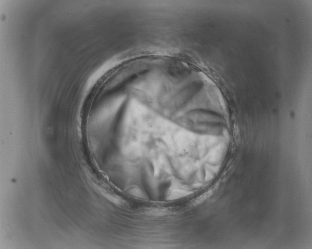 X0000084040246200703022156