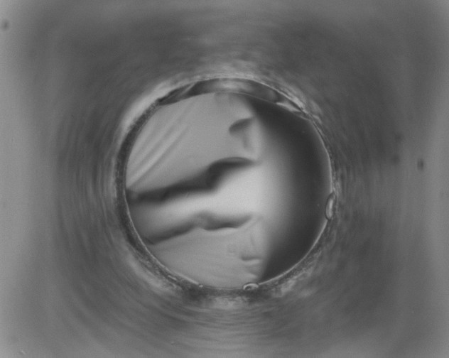 X0000084040248200703022156