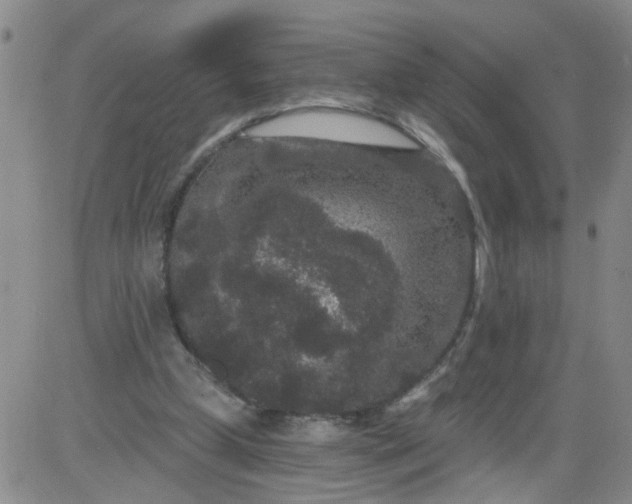 X0000084040249200703022156