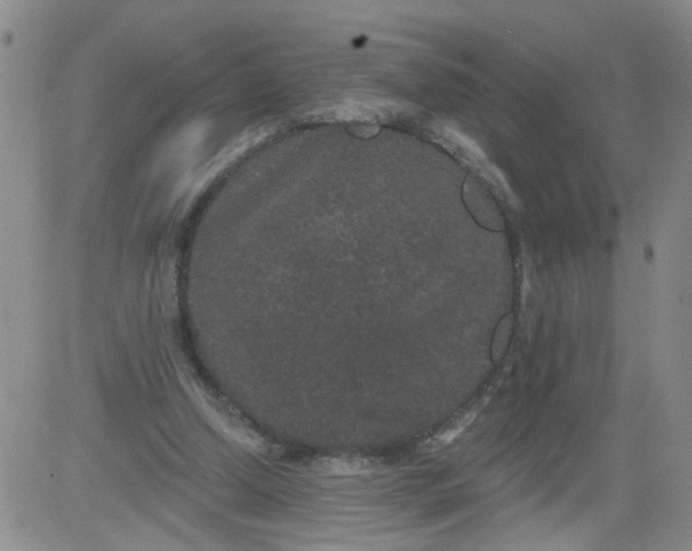 X0000084040250200703022156