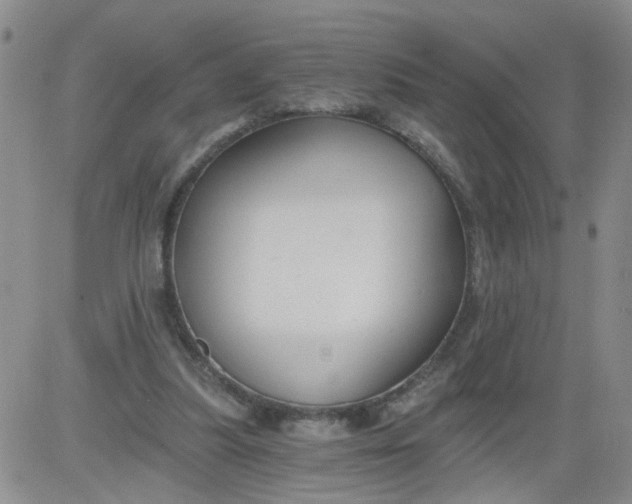 X0000084040251200703022156