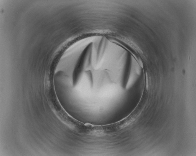 X0000084040252200703022156