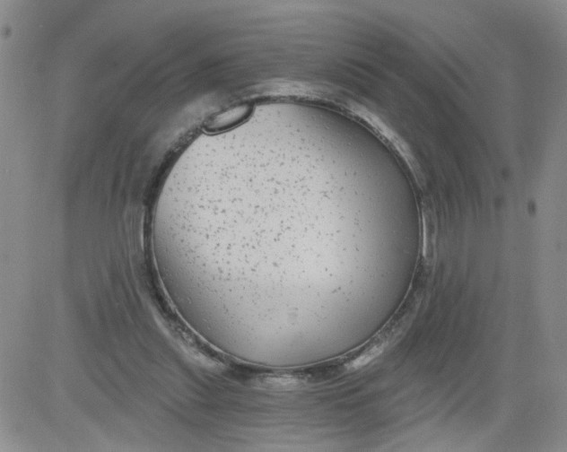 X0000084040253200703022156