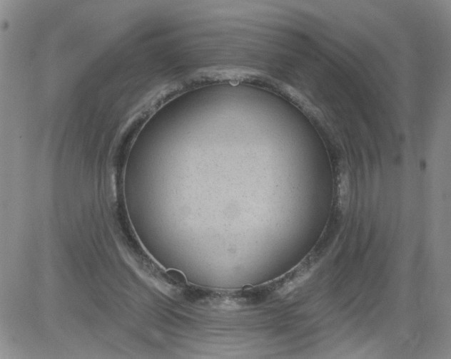 X0000084040254200703022156