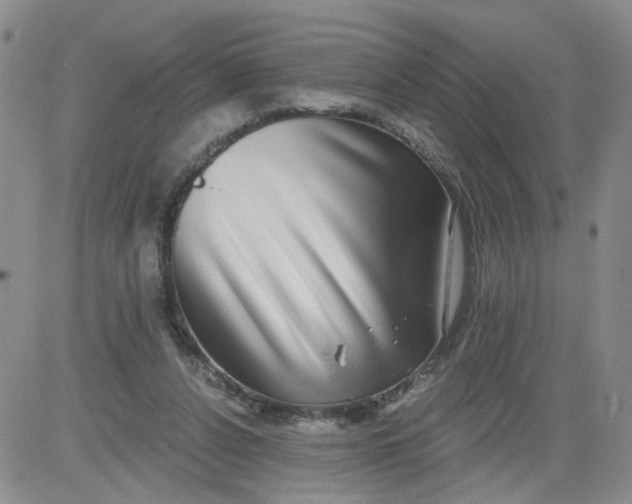 X0000084040256200703022156